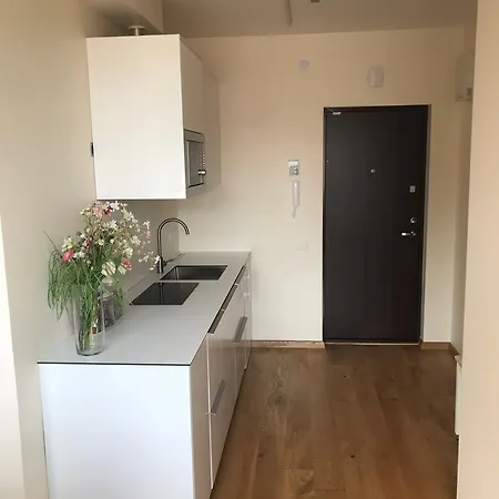 Апартаменты Juodalksnes Apartamentai
