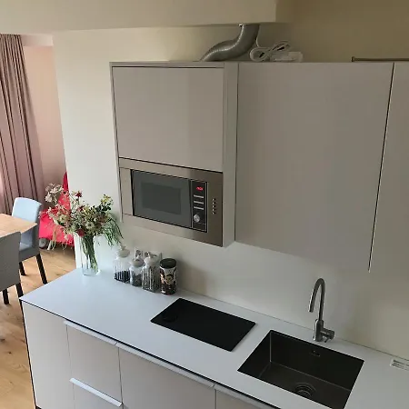 Апартаменты Juodalksnes Apartamentai *