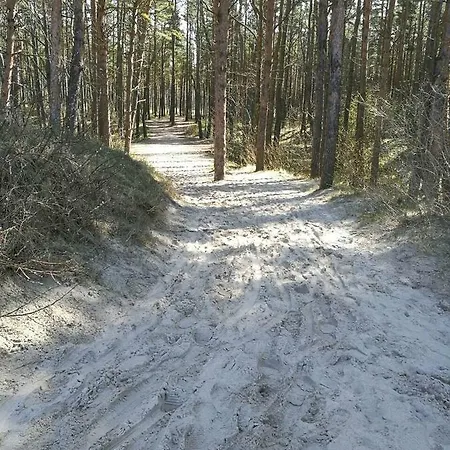 Apartament Juodalksnes Apartamentai Połąga