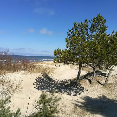 Juodalksnes Apartamentai Apartament