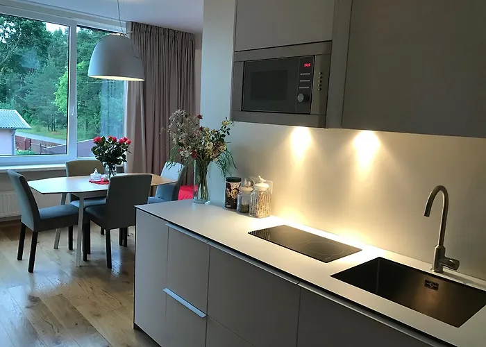 Apartment Juodalksnes Apartamentai Palanga