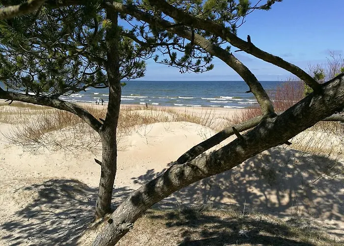 Juodalksnes Apartamentai * Palanga