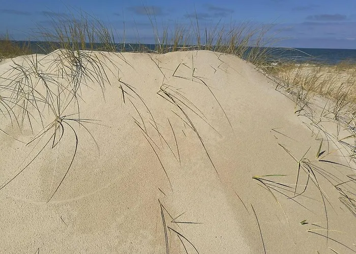 Juodalksnes Apartamentai * Palanga