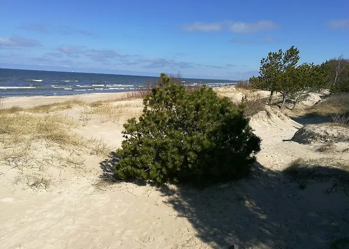 Juodalksnes Apartamentai Palanga