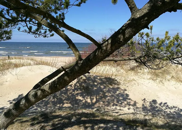 Juodalksnes Apartamentai Apartment Palanga