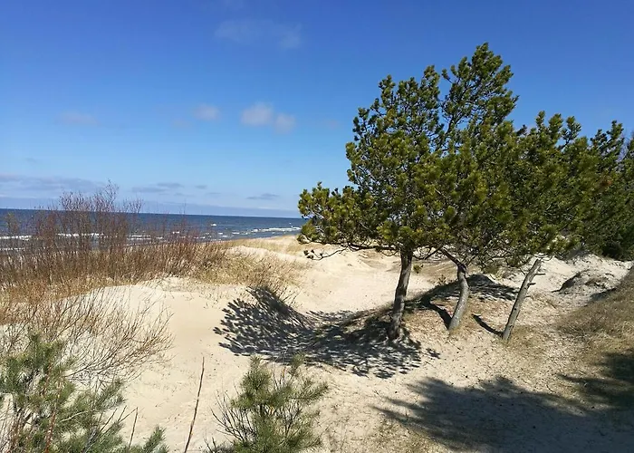 Juodalksnes Apartamentai Apartment